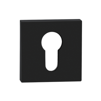 Накладка PZ МВМ E-20 BLACK чорний E-20 BLACK фото — Магазин дверей SuperDveri