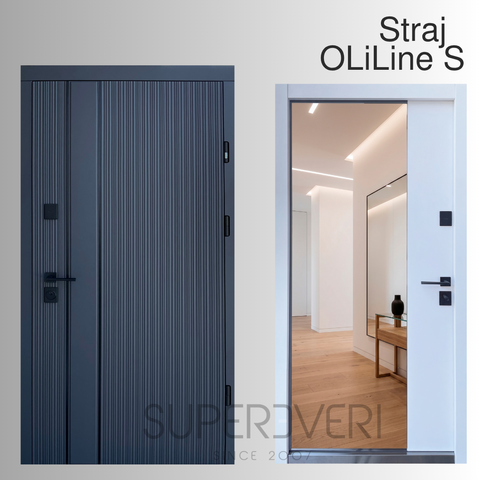 Двери Страж OLiLine S 4-ре контура 850 Пр антрацит/ белая эмаль + зеркало OLiLine S 850 Пр фото &mdash; Магазин дверей SuperDveri